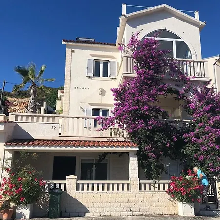 Palma *